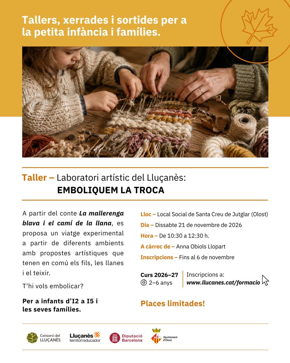 Taller Laboratori artístic del Lluçanès: Emboliquem la Troca